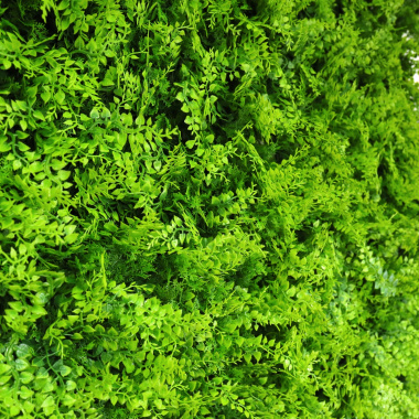 Aspect très réaliste des feuilles de fougère du mur végétal Fougère 1x1 m