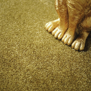 Moquette douce - Charme - Vert velours - vue de près