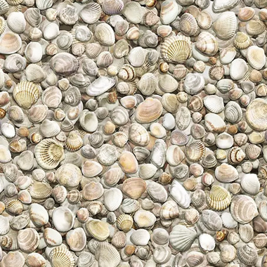 Dessin du tapis vinyle sur mesure Coquillages en version claire et détaillée