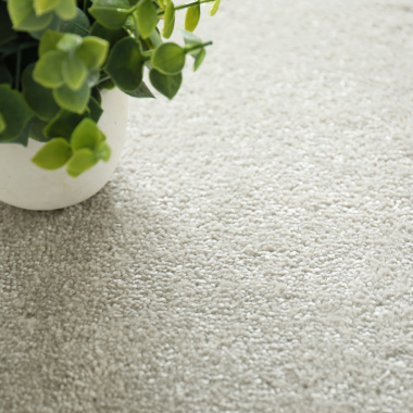 Dalle moquette velours - Gris perle - gros plan