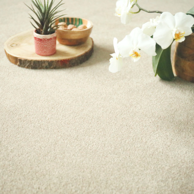 Tapis sur mesure Re-cycle vanille polyester recyclé avec plateau décoratif et plante