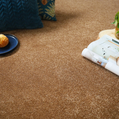 Moquette résistante aux taches Chromaluxe noisette - vue de près