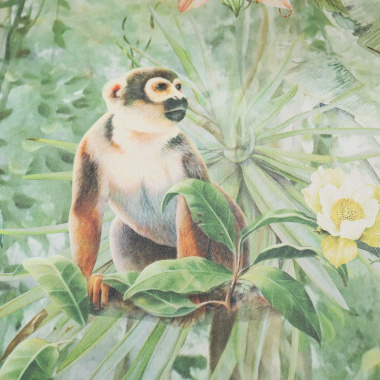 Papier peint panoramique - Format L - Animaux de la jungle - singe