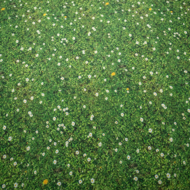 Moquette Stand imprimée Prairie au motif herbe fleurie