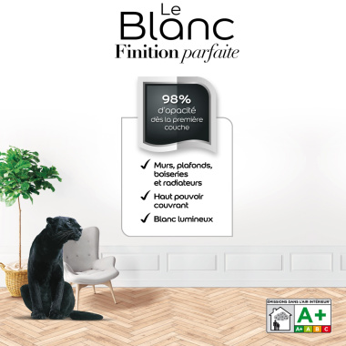 Dulux Valentine Le Blanc Finition Parfaite - Résultat excellent - Velours Blanc - étiquette
