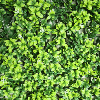 Détail du feuillage du mur végétal artificiel Jasmin blanc, effet naturel pour intérieur/extérieur