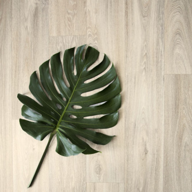 Sol Vinyle Grande largeur - Imitation parquet chêne cérusé - zoom