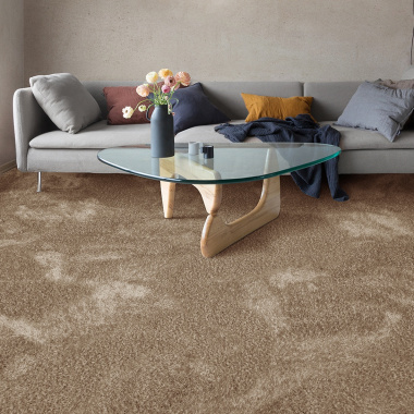 Moquette épaisse Éclat shaggy marron clair - salon