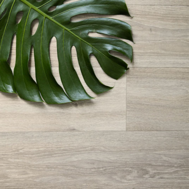 Sol Vinyle Grande largeur - Imitation parquet chêne cérusé - vue de près