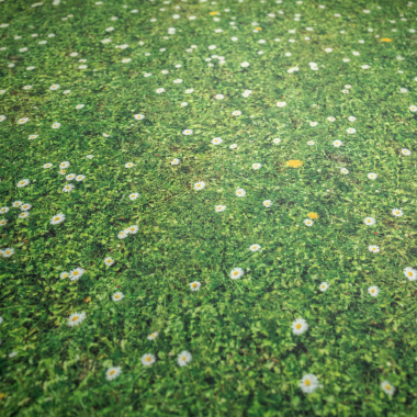 Texture réaliste de prairie fleurie sur moquette événementielle Stand imprimée Prairie