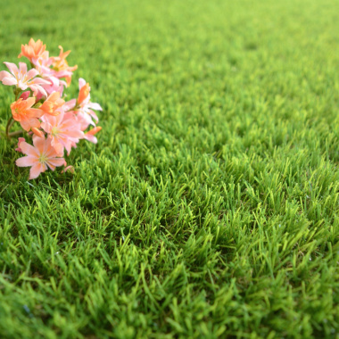 Gros plan sur le gazon synthétique Fontainebleau 30 mm, texture dense et naturelle avec décoration florale