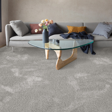 Moquette épaisse Éclat shaggy gris clair - salon