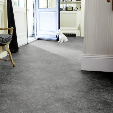 Sol PVC Best - Motif Granit Noir Argenté - Entrée