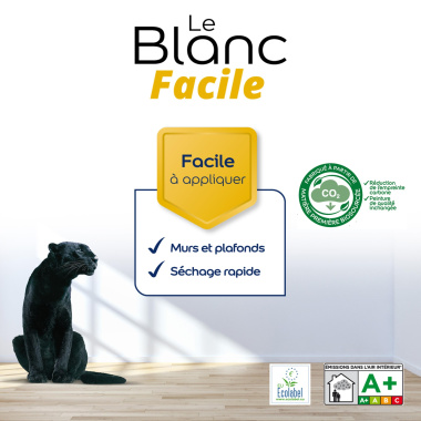Dulux Valentine Le Blanc Facile - Facile à appliquer - Mat Blanc - étiquette