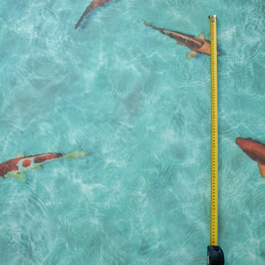 Sol Vinyle Textile – Relief 3D – Imprimé poisson Koï japonais, vue du motif avec échelle pour dimension des poissons