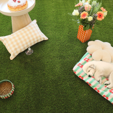 Gazon synthétique Saint-Tropez 50 mm avec chiot couché sur plaid, douceur et réalisme