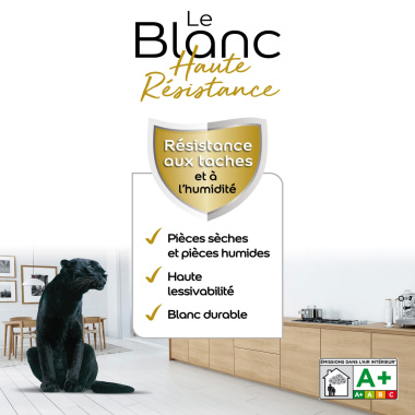Dulux Valentine Le Blanc Haute Résistance - Toutes pièces - Mat Blanc - étiquette