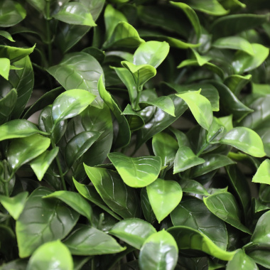 Détail des feuilles vertes nervurées du panneau Gardénia synthétique