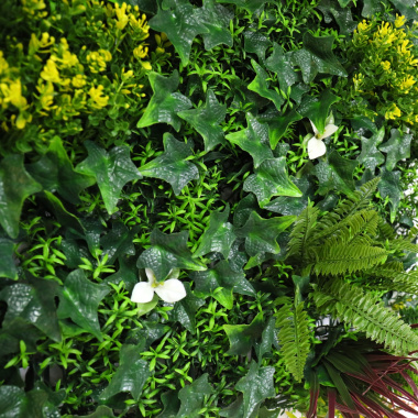 Zoom sur la végétation du mur végétal balade printanière aux tons verts, jaunes et blancs