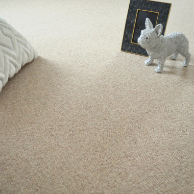 Moquette pure laine Killoo - Grège - Vue de près