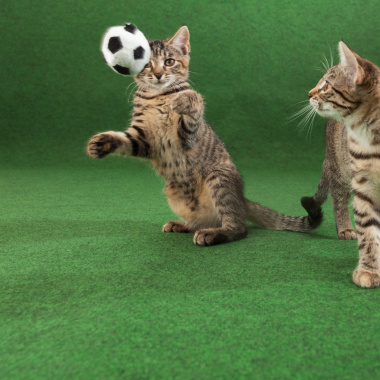 Moquette Outdoor sur plots en rouleau, ambiance ludique