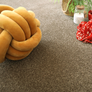 Moquette Manège - Marron - salon