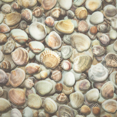 Sol Vinyle Textile – Relief 3D – Imprimé Coquillages, rendu hyper réaliste de coquillages aux teintes naturelles