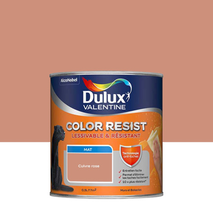 Peinture Dulux Valentine Color Resist - Murs&Boiseries - Mat Cuivre Rose