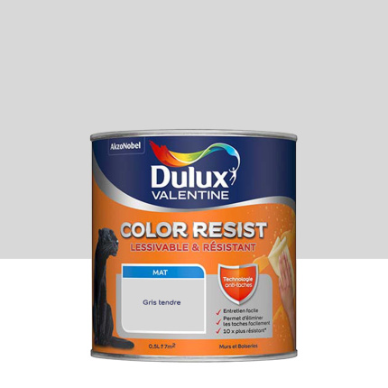 Peinture Dulux Valentine Color Resist - Murs&Boiseries - Mat Gris Tendre