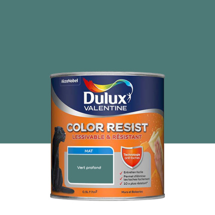 Peinture Dulux Valentine Color Resist - Murs&Boiseries - Mat Vert Profond