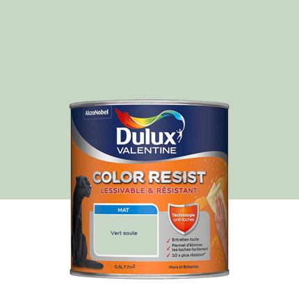 Peinture Dulux Valentine Color Resist - Murs&Boiseries - Mat Vert Saule