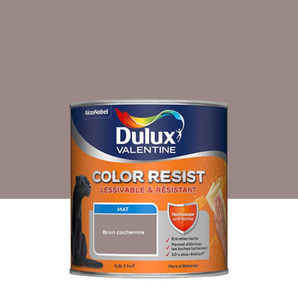 Peinture Dulux Valentine Color Resist - Murs&Boiseries - Mat Brun Cachemire