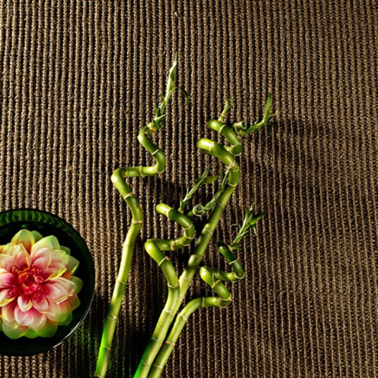 Sisal Yucatan - Cacao - Vue de haut