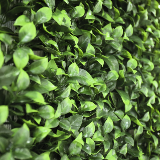 Détails en gros plan du rendu végétal du Mur feuilles de Gardénia sur support plastique 1m x 1m