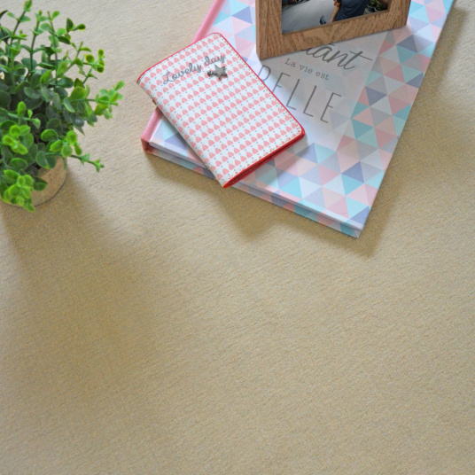 Tapis Loft Résist - Beige, mise en scène naturelle et chaleureuse