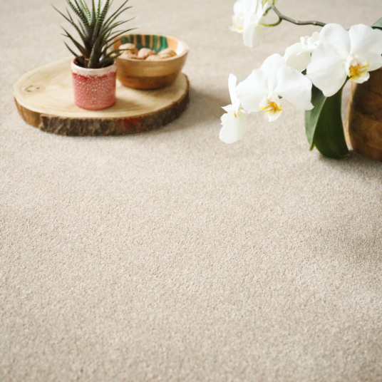 Tapis sur mesure Re-cycle beige polyester recyclé avec plateau et plante