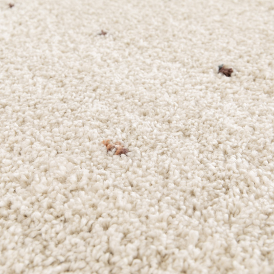 Tapis doux à poils longs - Sofia - Écru et pois colorés - gros plan