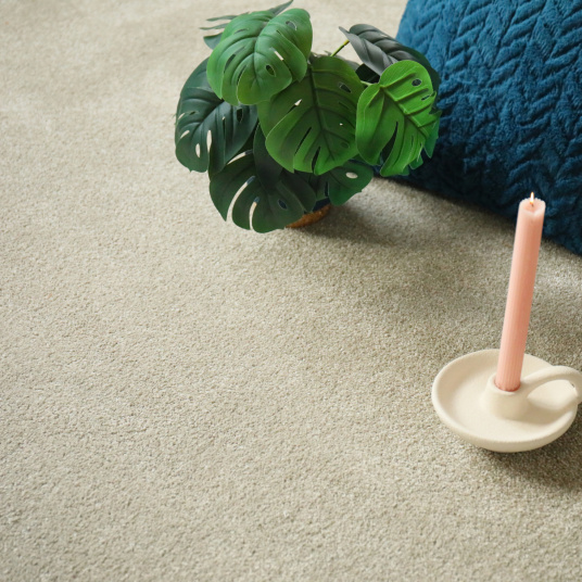 Moquette salon Select vert tilleul - plante verte et coussin bleu