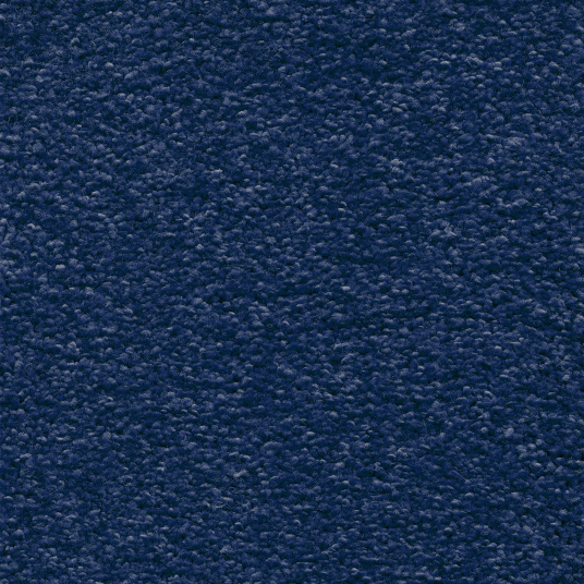 Moquette Pulse Bleu nuit au toucher soyeux, conçue pour un usage intérieur confortable et atmosphère feutrée