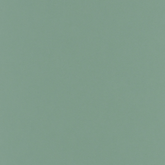 Papier peint vinyle sur intissé - Intemporel - Uni grain fin vert d'eau - sans perspective