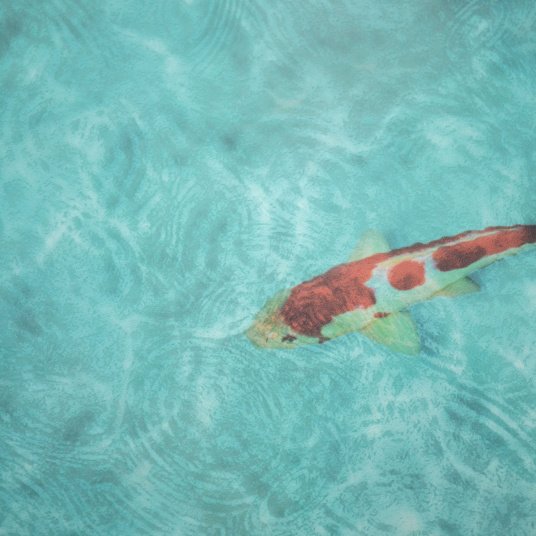 Revêtement Sol Vinyle Textile – Relief 3D – Imprimé poisson Koï japonais en vue rapprochée, motif très haute définition