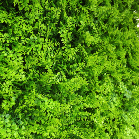 Aspect très réaliste des feuilles de fougère du mur végétal Fougère 1x1 m