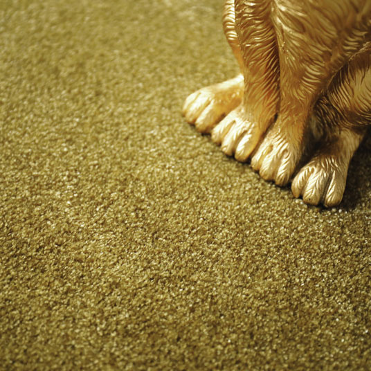 Moquette douce - Charme - Vert velours - vue de près