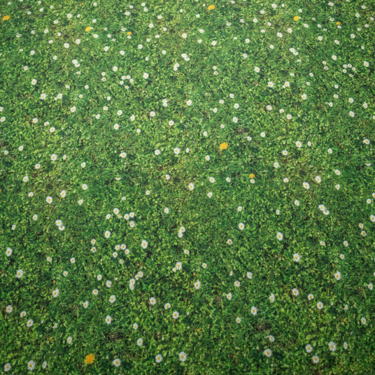 Moquette Stand imprimée Prairie au motif herbe fleurie