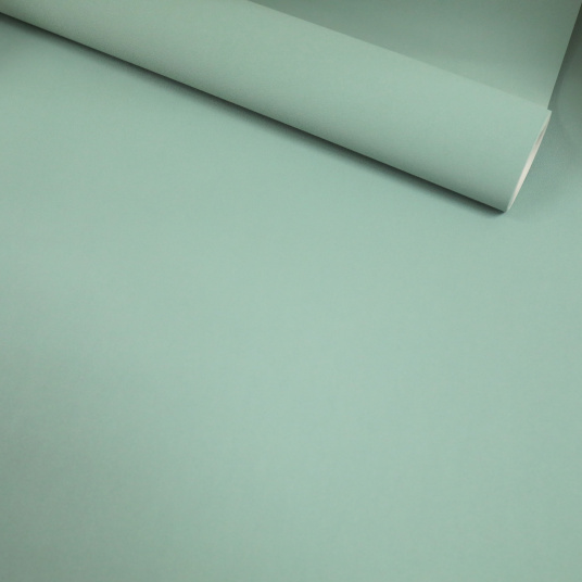 Papier peint vinyle sur intissé - Intemporel - Uni grain fin vert d'eau