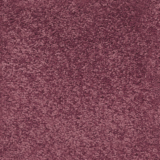 Moquette résistante aux taches Chromaluxe rose boudoir