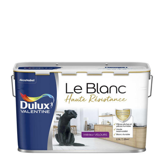 Dulux Valentine Le Blanc Haute Résistance - Toutes pièces - Velours Blanc