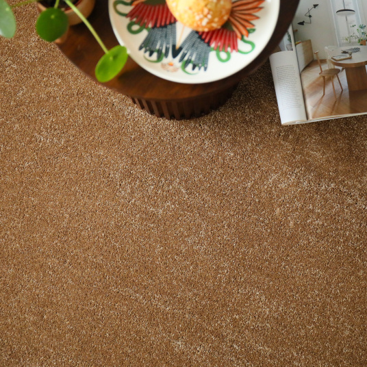 Moquette résistante aux taches Chromaluxe noisette - vue du dessus