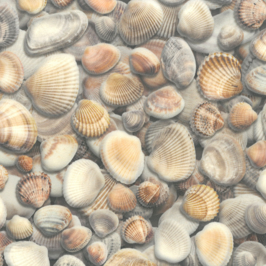 Sol Vinyle Textile Relief 3D – Imprimé Coquillages, décor hyper réaliste façon plage