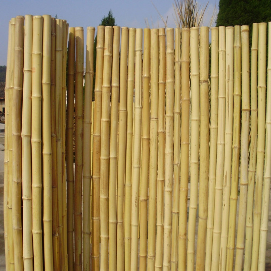 Canisse en bambou rond - Occultant naturel 